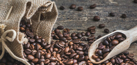 Գիտնականները պարզել են, որ սուրճը բացասաբար է ազդում ուղեղի վրա