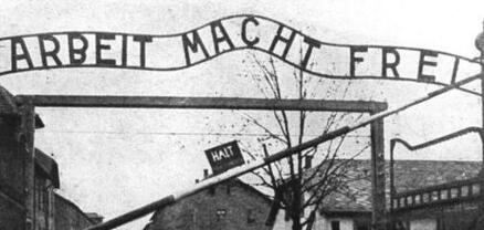 Լեհաստանում զբոսաշրջիկին ձերբակալել են Օսվենցիմի մոտ նացիստական ողջույնի համար