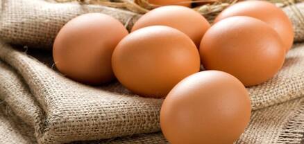  Վերահաստատվել է ՄՊՀ դիրքորոշումը հավի ձվի՝ շուկայում գերիշխող դիրքի չարաշահման վերաբերյալ