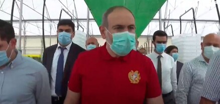 Առանց անգլերենի Հայաստանում մոշ չի աճում, բայց առանց կրթության պարեկ է «աճում»