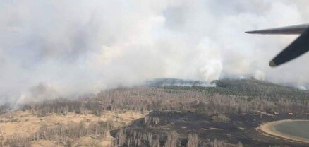 Չեռնոբիլի ատոմակայանի տարածքում մոտ 10 հազար հեկտար անտառ է այրվել