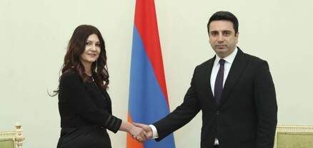 ՀՀ-ում Սերբիայի դեսպան Տատյանա Պանայոտովիչ Ցվետկովիչը Ալեն Սիմոնյանին հավատարմագրերն է հանձնել