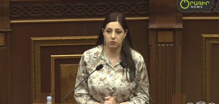 Մի հատ ձեր ձեռքերը հետ դրեք ու հանգստացեք. Ռուբինյանը՝ ընդդիմադիր պատգամավորին