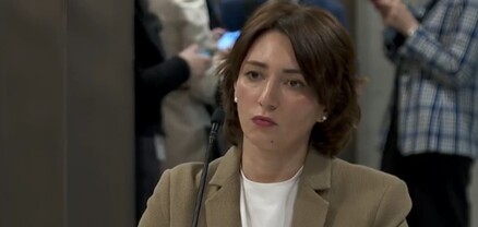 Բիձինա Իվանիշվիլին բիզնես շահեր ունի Ռուսաստանում. Էկա Գիգաուրի