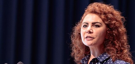 ԵՄ-ն Պուտինի վրա բղավում է, Էրդողանի դեպքում՝  դառնում խուլ ու համր. ավստրիացի պատգամավոր