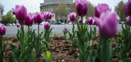 Օդի ջերմաստիճանն ապրիլի 14-17-ն աստիճանաբար կբարձրանա 6-8 աստիճանով