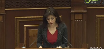 Կուսակցությունների  համար հեշտացվում է  աուդիտի կազմակերպման գործընթացը. նախագիծն ընդունվեց