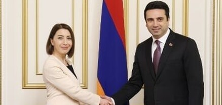 ՄԻՊ-ը ինստիտուցիոնալ առումով մեր երկրում ամենակայացածներից է. Ալեն Սիմոնյանը՝ Քրիստիննե Գրիգորյանին