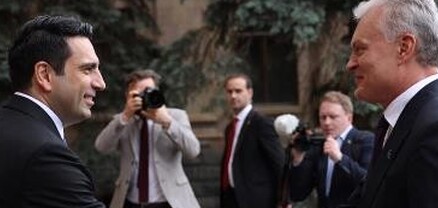 Ալեն Սիմոնյանը Լիտվայի նախագահի հետ քննարկել է տարածաշրջանային անվտանգության խնդիրները