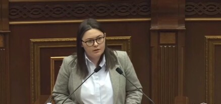 Պետական սահմանի անցակետում կներդրվի «մեկ կանգառ, մեկ պատուհան» սկզբունքը. ՊԵԿ-ի նախագիծը՝ ԱԺ-ում