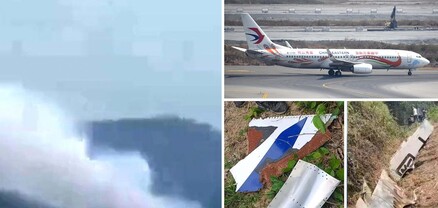 Չինաստանի հարավում մարտին կործանված Boeing 737-ը միտումնավոր են ուղղել դեպի ցամաք. WSJ