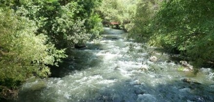 Փամբակ գետից դի է դուրս բերվել․ մանրամասներ