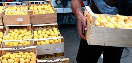 Լարսը փակ է, օգնե՛ք գյուղացիներին, ծիրան գնեք․ ֆլեշմոբ Ֆեյսբուքում