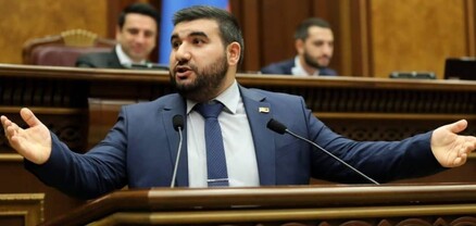 Վահագն Ալեքսանյանին «խոզ» անվանելու համար մեղադրանք է առաջադրվել մի կնոջ
