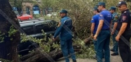 Քամու հետևանքով ծառը կոտրվել և ընկել է կայանված մեքենայի վրա