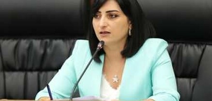 Թվով 47 ծառայողական քննություններ են սկսվել ոստիկանների գործողությունների վերաբերյալ, հարուցվել է 10 քրգործ. Թովմասյան
