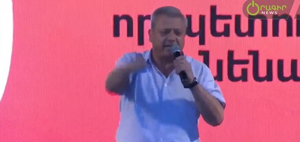 Տո ա՛յ վիժվածք, ընկած մարդուն ինչի՞ ես քացով խփում․ Շիրինյանը՝ ոստիկաններին
