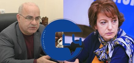 Շատ լավ կլիներ,որ լեզվի կոմիտեն հնարխաղային մեթոդներ առաջարկելու փոխարեն հետևեր, որ մեր մայրենին չաղավաղվեր․ Նարինե Դիլբարյան