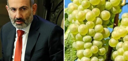 Կառավարության ներկայացումը բեմադրված էր խաղող ու բանջարեղեն արտադրող վարչապետերին իրենց հոգածությունը ցույց տալու համար