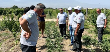 Բույսերի պաշտպանության միջոցառումները՝ ՍԱՏՄ առաջնահերթություն