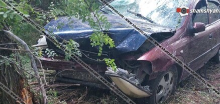 Գեղարքունիքում Opel-ը մխրճվել է ծառերի մեջ, 8 վիրավորներից 5-ը 3 ամսականից մինչև 2 տարեկան երեխաներ են. shamshyan.com