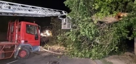 Քամու հետևանքով Երևանում վնասվել են տանիքներ, ավտոմեքենաներ, կոտրվել են ծառեր