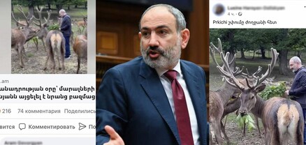 Ջեյրանը հայվանի տեսանյութ է հրապարակել՝ մարալների հետ. խոսում է ֆեյսբուքը