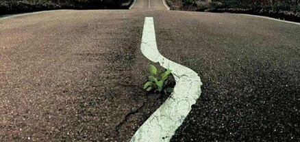 Պտուղով դատիր․․․