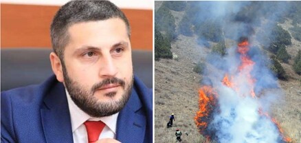 Որ մեր անտառները մինչև վերջ չվառվեն, մերսի քեզ, Փամբուխչյա՛ն Արմեն