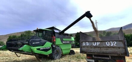 Գեղարքունիքի մարզում հացահատիկի բերքահավաքից ցածր արդյունք է ստացվել
