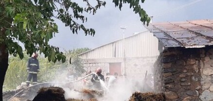 Սևան քաղաքում այրվել է անասնակեր․ ԱԻՆ
