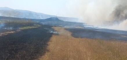 Հրազդանում այրվել է մոտ 40 հա խոտածածկույթ
