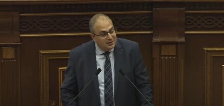 Միջազգային գործընկերներին կոչ եմ անում պաշտպանել մեզ ագրեսիայից. Վլադիմիր Վարդանյան