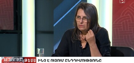 ԱԱԾ-ն կատարում է Փաշինյանի քարտուղարի դերը. Կարին Տոնոյան