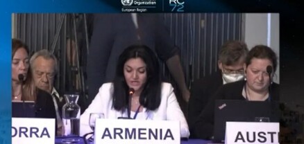 Հայ զինվորներն ու քաղաքացիական անձինք պայքարում են հայ ժողովրդի և իրենց կյանքի համար․ ԱՆ փոխնախարարի ելույթը ԱՀԿ-ում