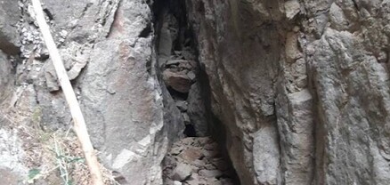 Փրկարարներն արջի քոթոթներին դուրս են բերել արգելափակումից