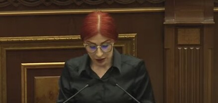 Սա աչքալուսանք էր Ադրբեջանին եւ Թուրքիային. Ագնեսա Խամոյանը՝ Զատուլինի արգելքի մասին