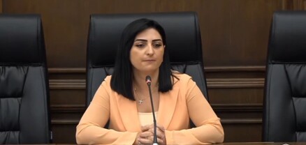 Բա դուք ի՞նչ եք անում, եթե ձեզ չեն թողնում, որ զենք բերեք․ Թագուհի Թովմասյան