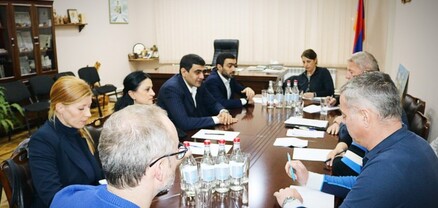 ԵԱՀԿ ներկայացուցիչներն այցելել են Գորիս և հարակից գյուղեր