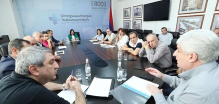 Ավանեսյանը դեղ արտադրող, ներմուծողների հետ քննարկել է ԵԱՏՄ շուկայում դեղերի արտադրության հարցը