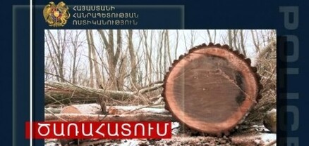 Սպիտակի ոստիկանները ապօրինի ծառահատման դեպք են բացահայտել