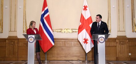 Նորվեգիայի արտգործնախարարը դատապարտել է Ռուսաստանի գործողություններն Աբխազիայում և Հարավային Օսիայում
