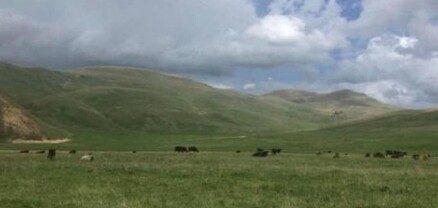 Ադրբեջանցիներն իջել են, անասունները քշել-տարել են․ Արցախի Հին Շեն համայնքի ղեկավար