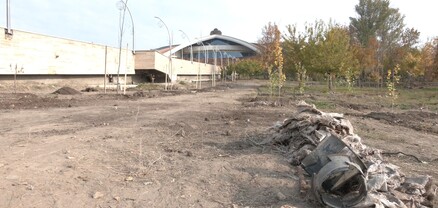 Աղբ՝ նոր տնկած ծառերի կողքին. Նիկոլ Փաշինյանի ծառատունկի հետքերով