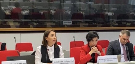 Մարդու իրավունքների պաշտպանը մասնակցել է ՀՀ-ԵՄ Մարդու իրավունքների շուրջ երկխոսության 12-րդ նիստին