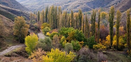 184,5 հազար եվրո հավելյալ գումար բնության հատուկ պահպանվող տարածքներին՝ CNF-ի կողմից