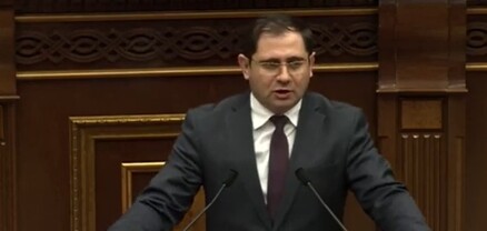 Քաղաքական գործիչներ ունենք, որոնց զավակները, թոռները հատուկ ծնվում են արտերկրում և ինչ-որ փուլում, իբր, ազատվում են ծառայությունից․ Պապիկյան