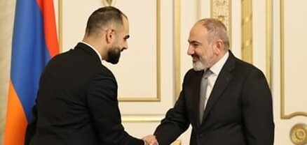 Նիկոլ Փաշինյանն ընդունել է Շվեդիայի խորհրդարանի պատգամավոր Արին Կարապետին