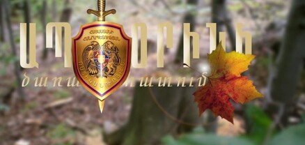 Կապանի համայնքային ոստիկանները ապօրինի ծառահատման դեպք են բացահայտել