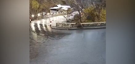 Արջն ազատ շրջել է Գառնիի փողոցներով